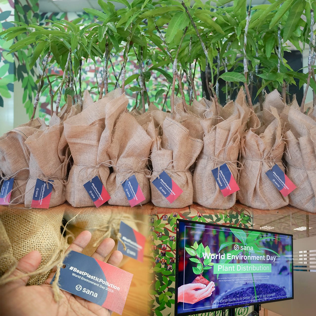 On June 5th, in celebration of World Environment Day, Sana Commerce Sri Lanka organized a plant distribution event at its office premises.